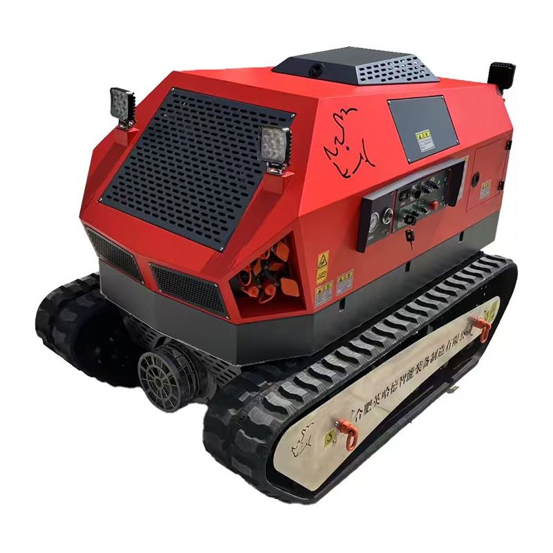Drainage Robot